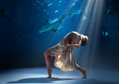 HALMAHERA – Un spectacle de danse au coeur de l’Océan