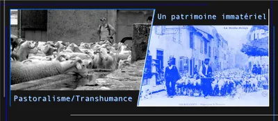 AUZAT Regards sur le pastoralisme en Ariège