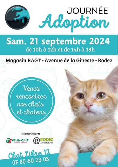 RODEZ (12) : Journée adoption Chat Libre 12