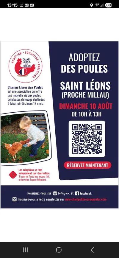 Saint Léons (12) : Sauvetage de poules