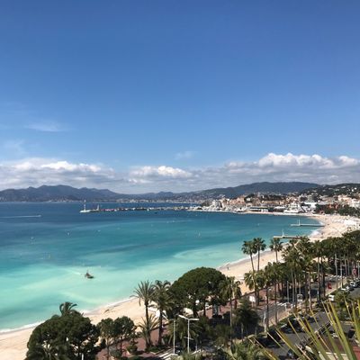 14/11/22 : Cannes Palme d’or des festivals et événements 2022