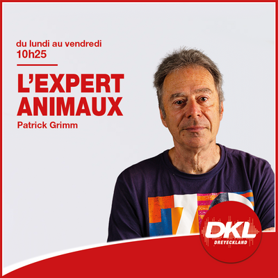 L'expert animaux