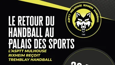 Le retour du handball mulhousien au Palais des Sports !