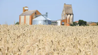 🔊 Des rendements corrects mais des prix trop bas