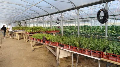 Le Jardin Soli-bio vous accueille pour une visite à Voves