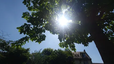 Près de 38° sous abris