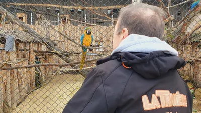 Le printemps s’installe à la Tanière !