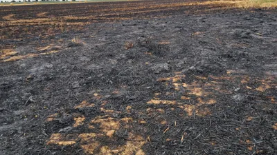 Près d'une vingtaine de pompiers mobilisés pour un feu de champs à...