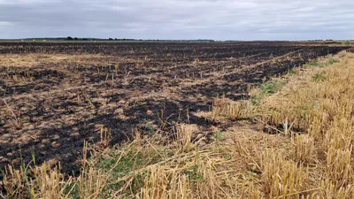 Près de 10 hectares de cultures partent en fumée