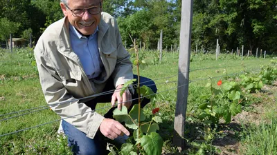 🔊 La fête de la vigne s'invite en centre-ville de Lèves