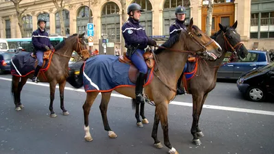 Les cavaliers de la Garde Républicaine à Morancez, Saint-Prest et...