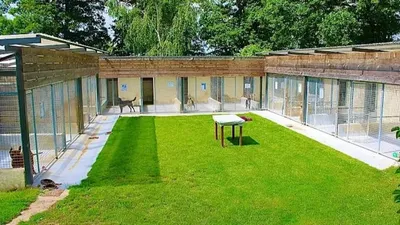 🔊 La situation financière du refuge animalier de Serazereux « de...