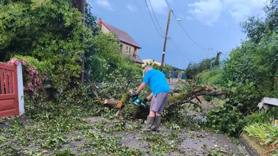 Quelques branches et arbres sur les chaussées
