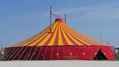 La Pat’Patrouille se produit à Arcisses ce week-end