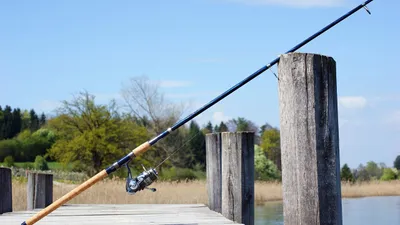 Des Euréliens à la finale régionale du "Junior Fishing Tour"