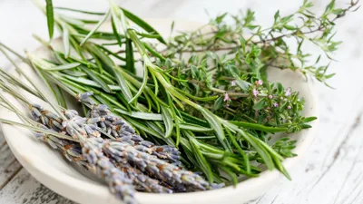 Ajoutez des plantes sauvages dans votre assiette