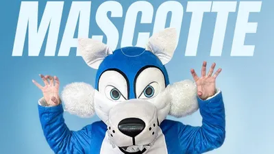 Rugby : le club de Chartres recrute pour incarner sa nouvelle mascotte