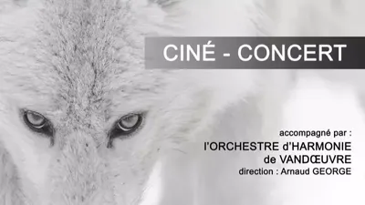 L'invité du jour : on vous dit tout sur le Ciné Concert - Fragments...