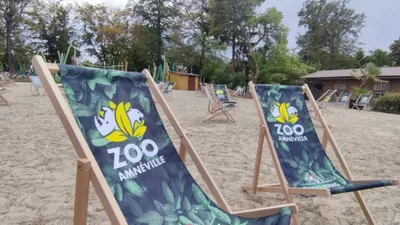 Zoo d'Amnéville : venez gagner vos places pour le début de la...