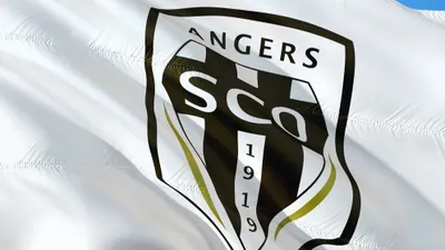 Ligue 2 : match disputé entre Guingamp et Angers SCO ce soir