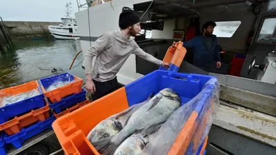 Assises de la pêche à Lorient : le secteur inquiet face aux...