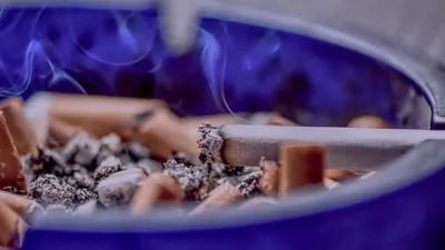 Prix des cigarettes, gaz, météo des forêts : voila ce qui change en...