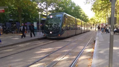 Bordeaux Métropole : le réseau TBM scrute l'accidentologie à la loupe