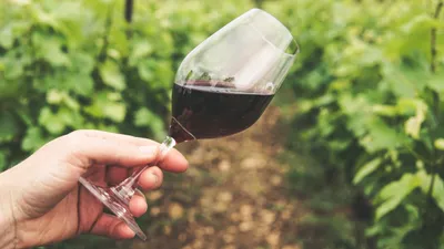 Portage salarial : les métiers du vin ont tout à gagner