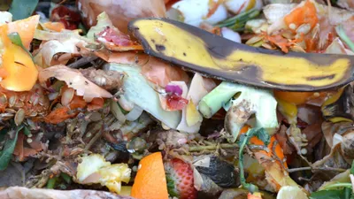 Composter ses déchets devient obligatoire en 2024