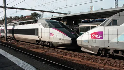Chat écrasé au départ d'un train Paris-Bordeaux : la SNCF met en...