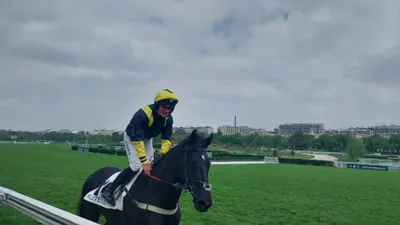 Hippisme : nos préférés pour ce samedi 3 juin