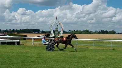 Les pronostics hippiques pour ce dimanche 15 juin