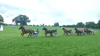Les pronostics hippiques pour ce samedi 21 juin
