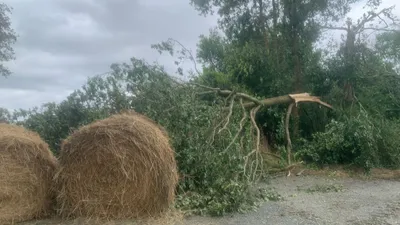 Segré-en-Anjou Bleu. L'État refuse la reconnaissance de catastrophe...