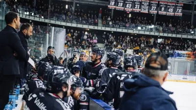 Ducs d'Angers. Pour sa première saison, Jonathan Paredes déjà dans...