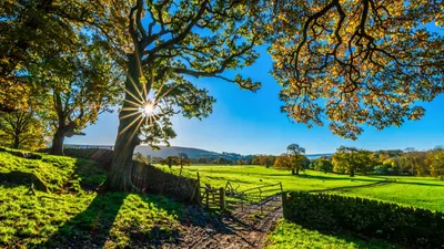3ème édition des « Fermes en fêtes » le Dimanche 18 Juin à Sainte...