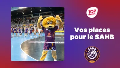 Gagnez vos places pour le match SAHB / Saran au CSI de Sélestat