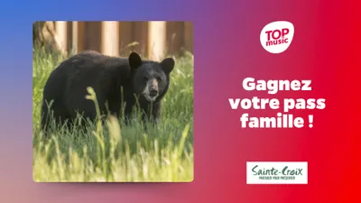 Votre pass famille au Parc de Sainte-Croix !