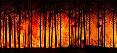 Baïnes, feux de forêts : la vigilance à son plus haut niveau en...