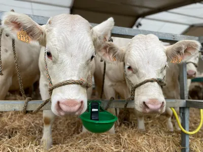 Découvrez les différents métiers de la ferme à la Foire de Sedan