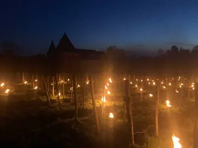 Des bougies face au froid pour sauver les vignes du nord Ardennes