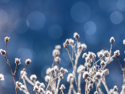 Où a-t-il fait le plus froid dans la région ce vendredi matin ?