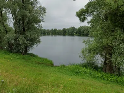 Un homme récupéré par les pompiers après s'être jeté à l'eau