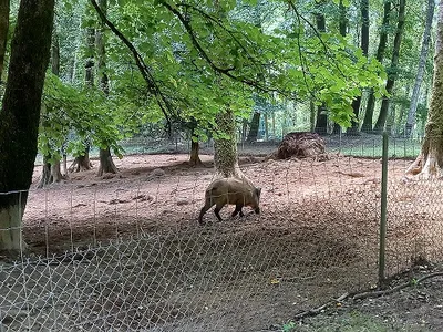 Il est toujours autant demandé par les visiteurs