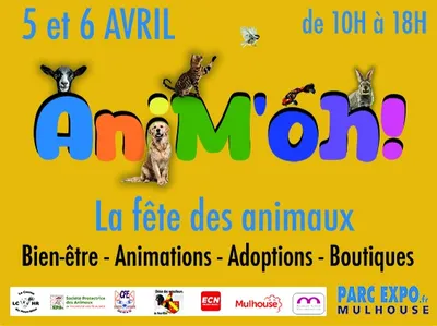 ANIMOH: la fêtes des animaux au Parc Expo de Mulhouse