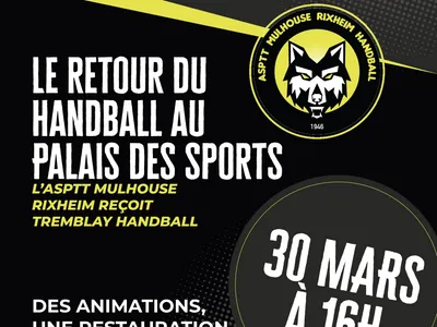 Le retour du handball mulhousien au Palais des Sports !