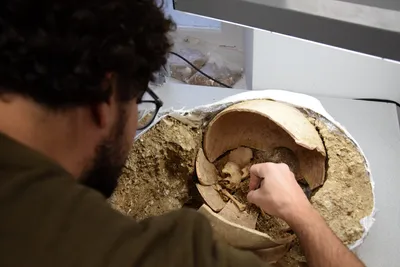 Les sites archéologiques de Toury et Chartres s'ouvrent au public