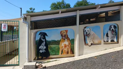 🔊 60 ans pour la protection des animaux à Châteaudun