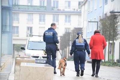 Aucun cambriolage pour les foyers enregistrés