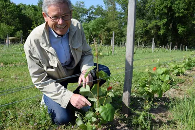 🔊 La fête de la vigne s'invite en centre-ville de Lèves